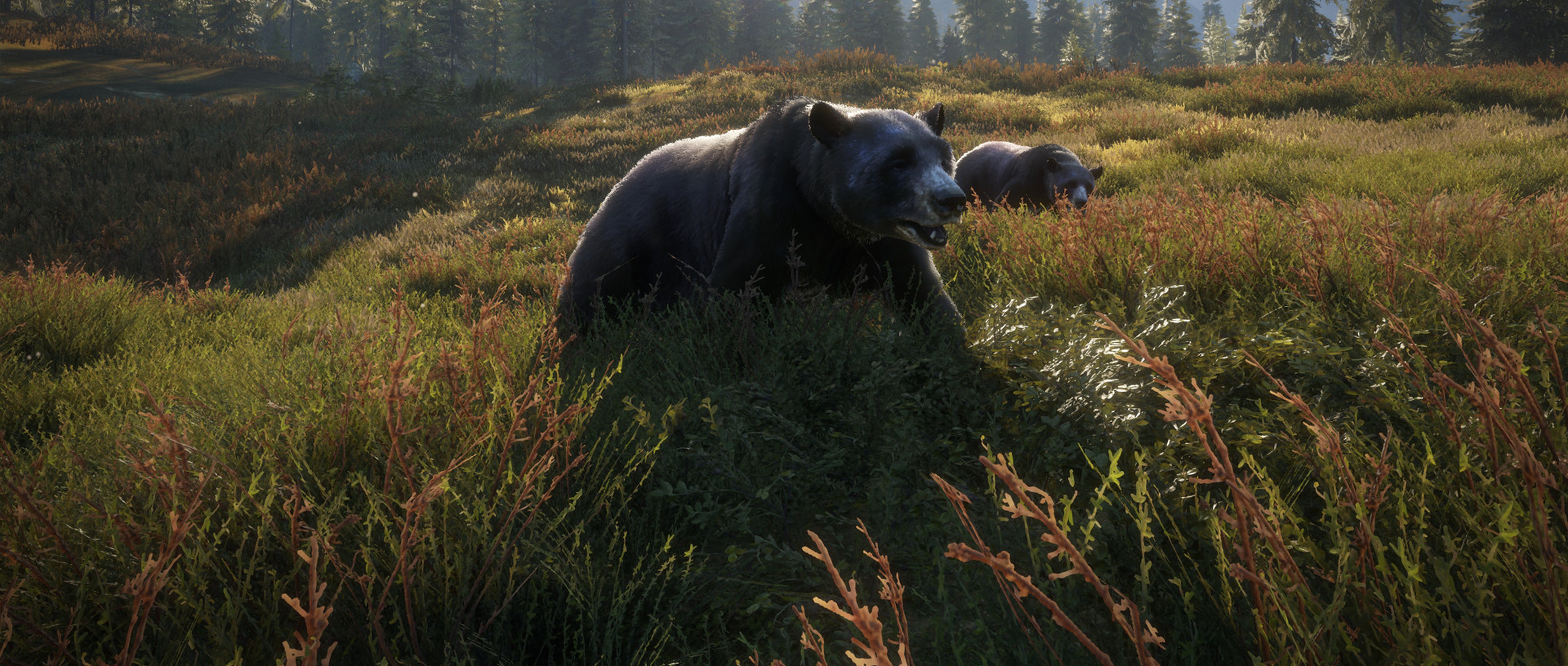 Call of the wild cheap video game